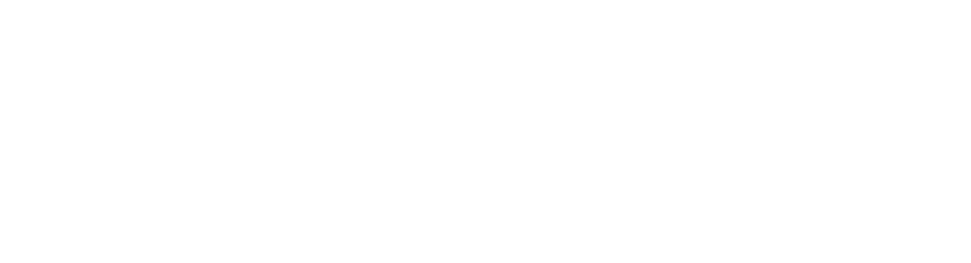 e-BusCar